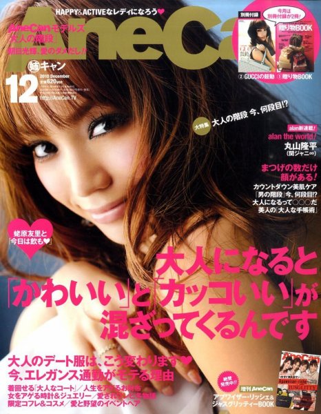 AneCan（姉キャン） 12月号 (発売日2010年11月06日) 表紙