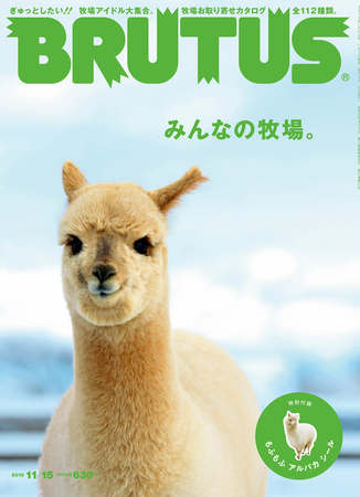 BRUTUS(ブルータス) No.697 (発売日2010年11月01日) | 雑誌/定期