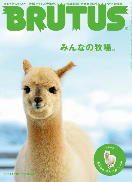 BRUTUS(ブルータス) No.697 (発売日2010年11月01日) 表紙