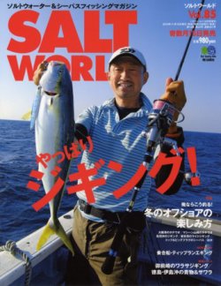 SALT WORLD（ソルトワールド） Vol.85 (発売日2010年11月15日) 表紙