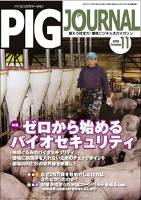 ピッグジャーナル 11月号 (発売日2010年11月15日) 表紙