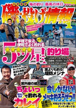 磯・投げ情報 1月号 (発売日2010年11月25日) 表紙