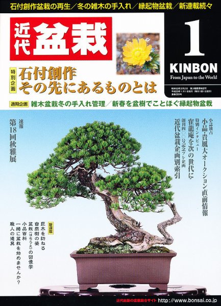 月刊 近代盆栽 1月号 (発売日2010年12月04日) 表紙