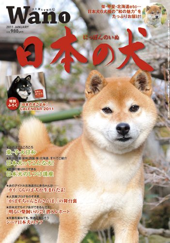 wan（わん） 2011年1月号 (発売日2010年12月14日) 表紙