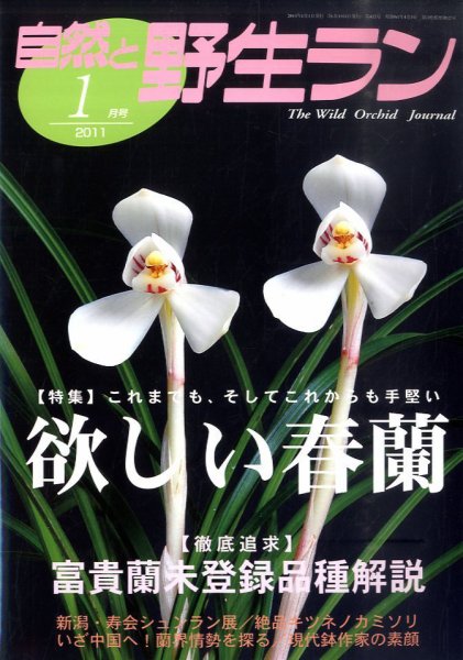 園芸Japan 2011年1月号 (発売日2010年12月14日) 表紙