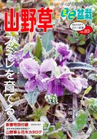 山野草とミニ盆栽 1月号 (発売日2010年12月11日) 表紙