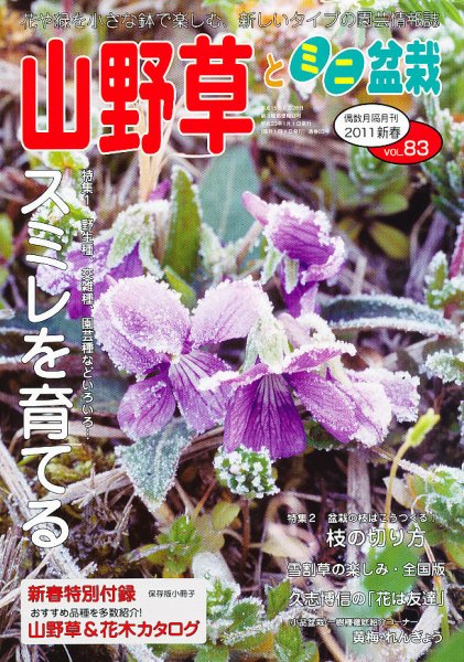 山野草とミニ盆栽 1月号 (発売日2010年12月11日) 表紙