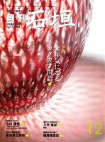 月刊 石垣 １２月号 表紙