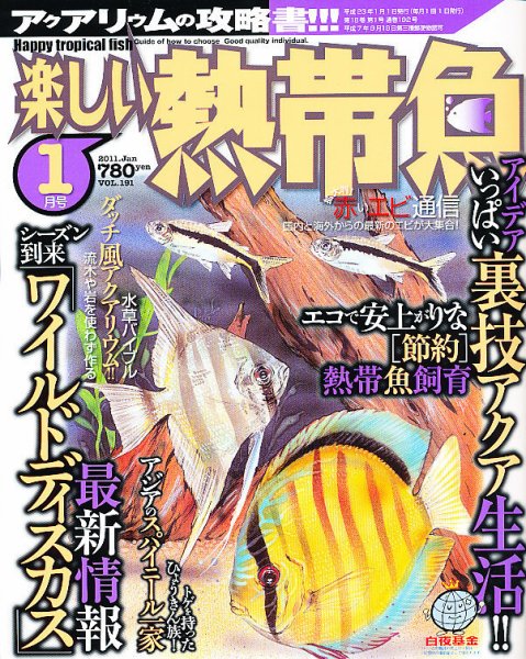楽しい熱帯魚 1月号 (発売日2010年12月11日) 表紙