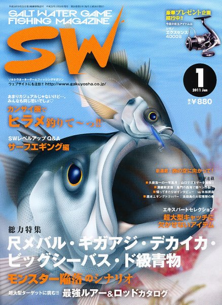 SALT WATER GAME 1月号 (発売日2010年12月10日) 表紙