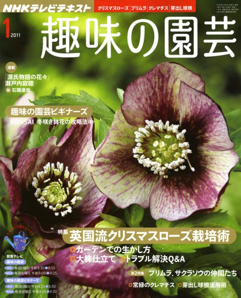 NHK 趣味の園芸 1月号 (発売日2010年12月21日) 表紙