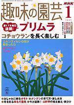 NHK 趣味の園芸 1月号 (発売日2004年12月16日) 表紙