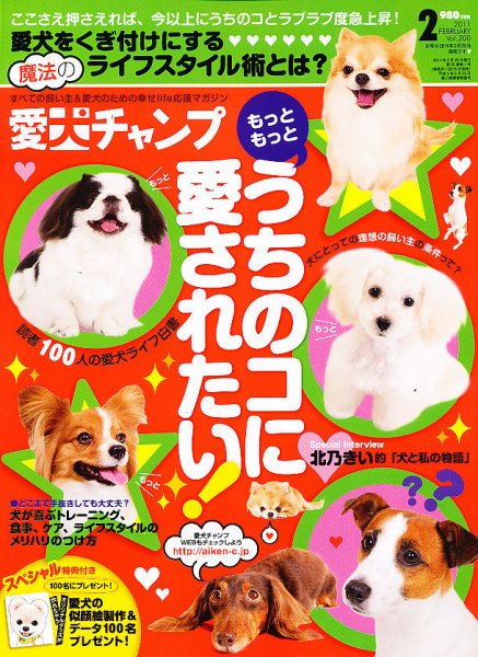 愛犬チャンプ 2月号 (発売日2010年12月25日) 表紙