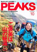 PEAKS（ピークス） No.11 表紙