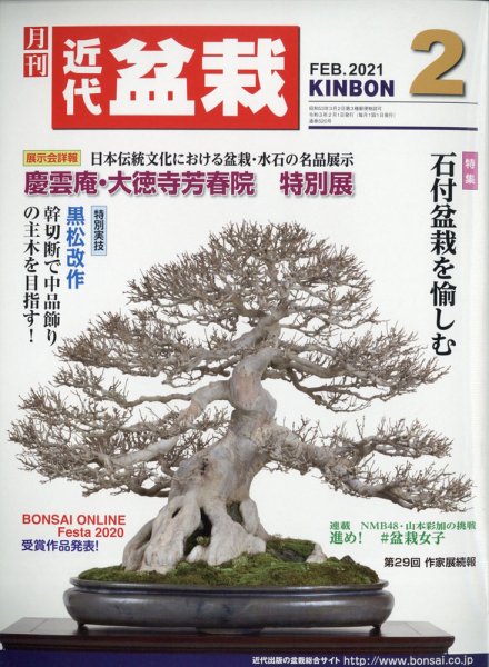 月刊 近代盆栽 2月号 (発売日2010年12月28日) 表紙