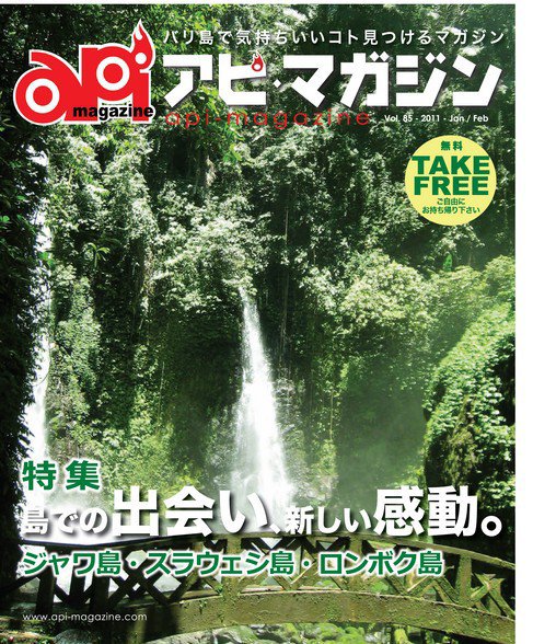 Api Magazine（アピ・マガジン） vol.85 (発売日2011年01月20日) 表紙