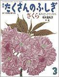たくさんのふしぎ 2011年3月号 (発売日2011年02月03日) 表紙