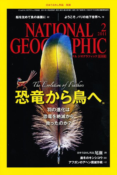 ナショナル ジオグラフィック日本版 2月号 (発売日2011年01月29日) 表紙