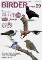 静岡県史　全27巻 ハードカバー 静岡県史 全27巻 ハードカバー