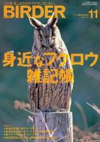 BIRDER（バーダー） 2010年11月号 (発売日2010年10月16日) 表紙