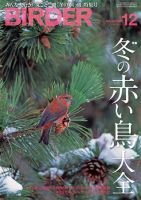 BIRDER（バーダー） 2010年12月号 (発売日2010年11月16日) 表紙