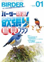 BIRDER（バーダー） 2011年1月号 (発売日2010年12月16日) 表紙