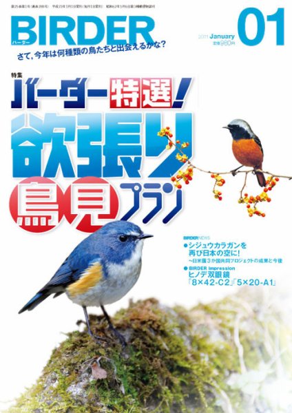 BIRDER（バーダー） 2011年1月号 (発売日2010年12月16日) 表紙