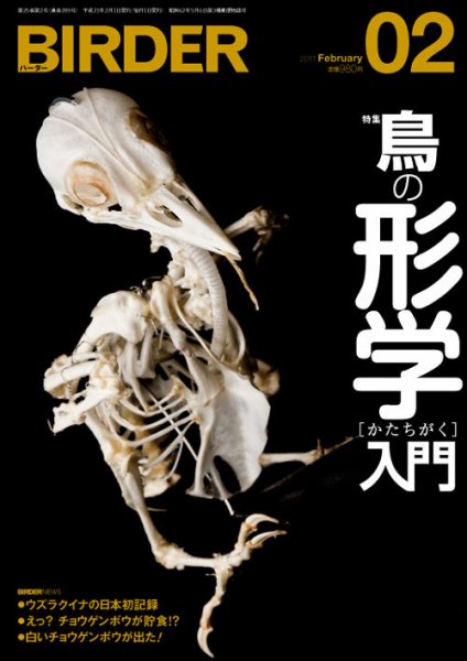 BIRDER（バーダー） 2011年2月号 (発売日2011年01月15日) 表紙