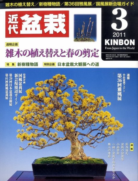 月刊 近代盆栽 3月号 (発売日2011年02月04日) 表紙