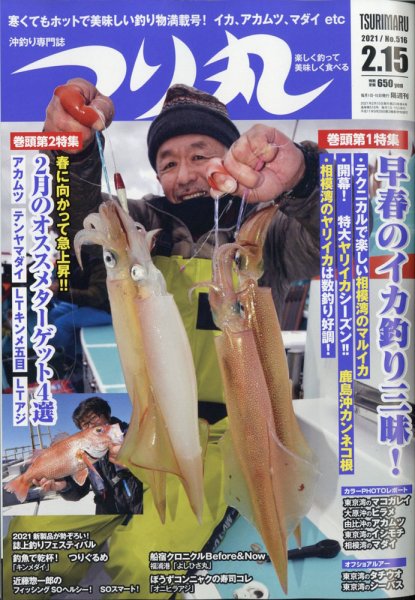 パチンコ必勝ガイド 2/20号 (発売日2011年01月20日) 表紙