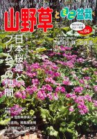 山野草とミニ盆栽のバックナンバー (3ページ目 15件表示) | 雑誌/定期