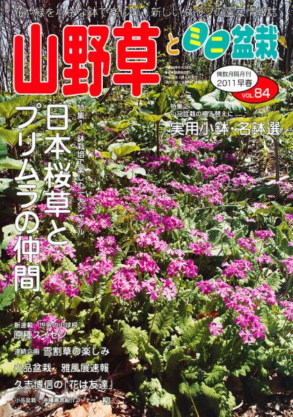 山野草とミニ盆栽 3月号 (発売日2011年02月12日) 表紙