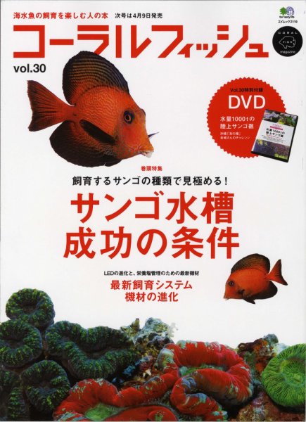 コーラルフィッシュ Vol.30 (発売日2011年02月10日) 表紙