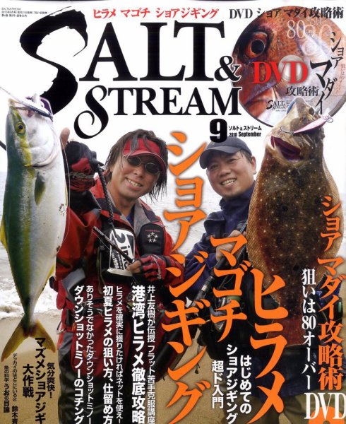 SALT＆STREAM（ソルト＆ストリーム） 0 (発売日2010年07月21日) 表紙