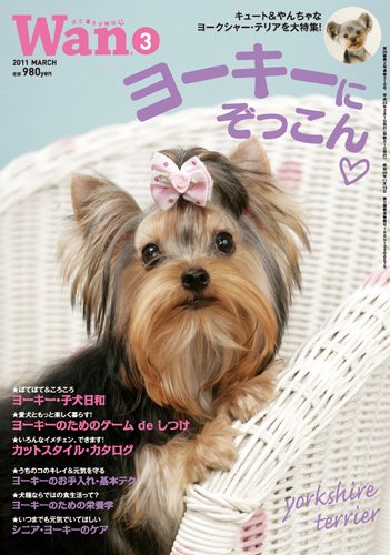 wan（わん） 2011年3月号 (発売日2011年02月14日) 表紙