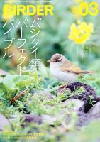 BIRDER（バーダー） 表紙