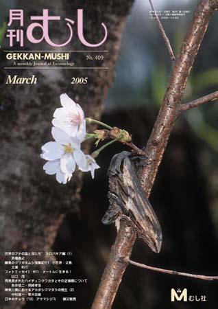 月刊むし 409 (発売日2005年02月20日) 表紙