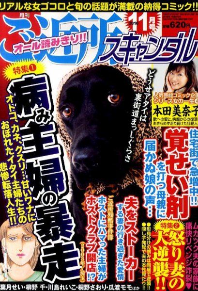 月刊 ご近所スキャンダル 11月号 (発売日2010年09月22日) 表紙