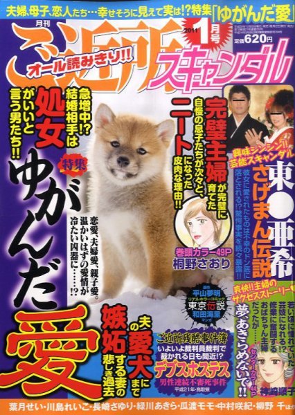 月刊 ご近所スキャンダル 1月号 (発売日2010年11月22日) 表紙