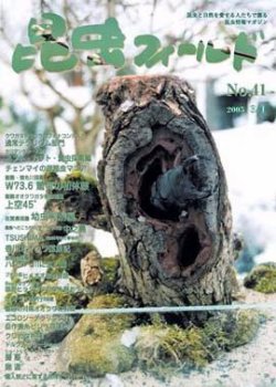 昆虫フィールド No.41 (発売日2005年02月27日) 表紙