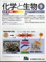 CAR BOY 9月号 (発売日2010年08月12日) 表紙