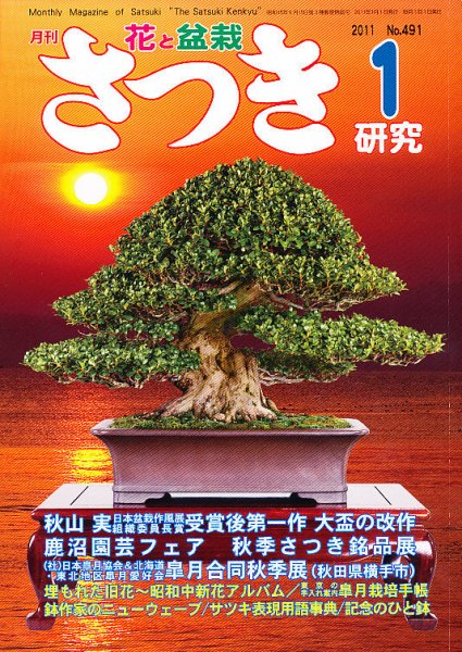 さつき研究 1月号 (発売日2010年12月04日) 表紙