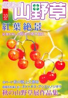 趣味の山野草 10月号 (発売日2010年09月11日) 表紙