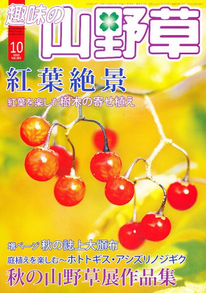 趣味の山野草 10月号 (発売日2010年09月11日) 表紙