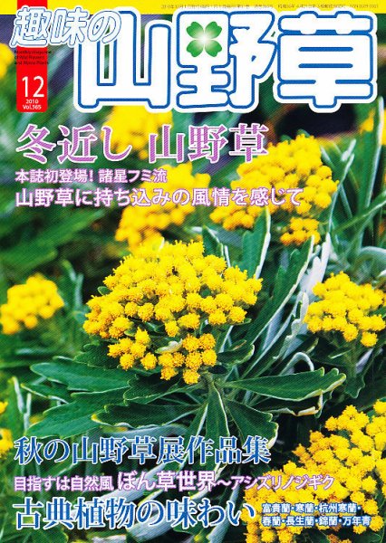 趣味の山野草 12月号 (発売日2010年11月12日) 表紙