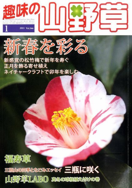 趣味の山野草 1月号 (発売日2010年12月11日) 表紙