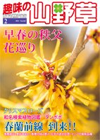 趣味の山野草 2月号 (発売日2011年01月12日) 表紙