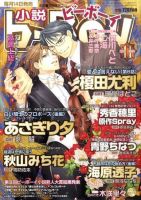 小説b-boy (ビーボーイ) 11月号 (発売日2010年10月14日) 表紙