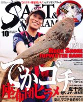 SALT＆STREAM（ソルト＆ストリーム） 10月号 (発売日2010年08月21日) 表紙