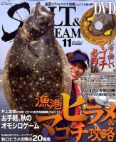 SALT＆STREAM（ソルト＆ストリーム） 11月号 (発売日2010年09月21日) 表紙